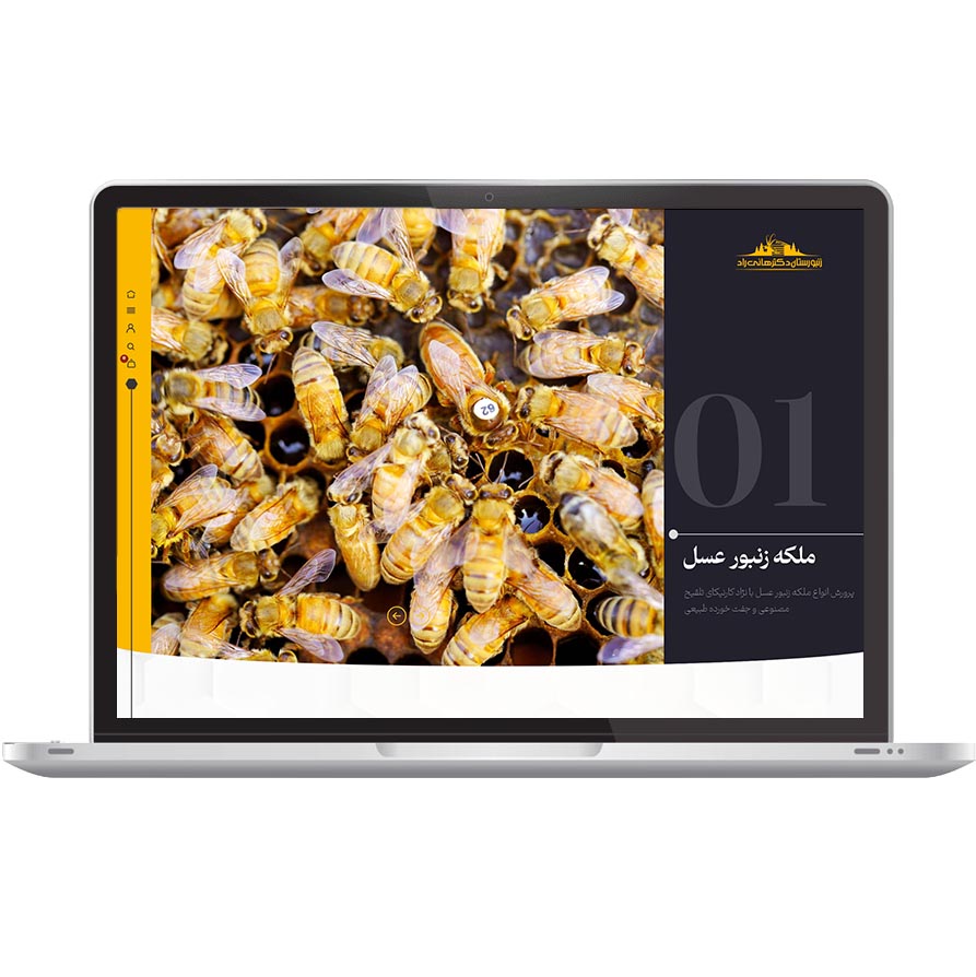 نمونه کار شرکت کننده دوره خانه فناوری - وبسایت Dr honey