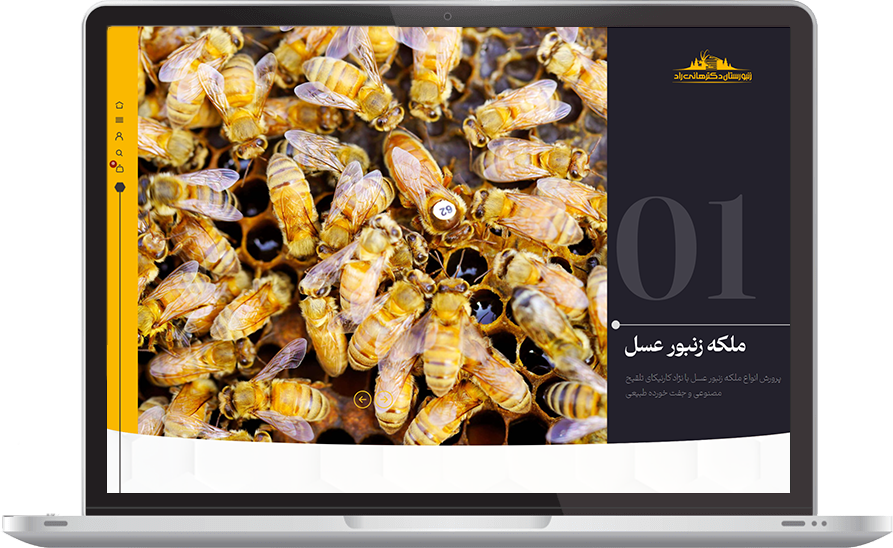 نمونه کار شرکت کننده دوره خانه فناوری - وبسایت Dr honey
