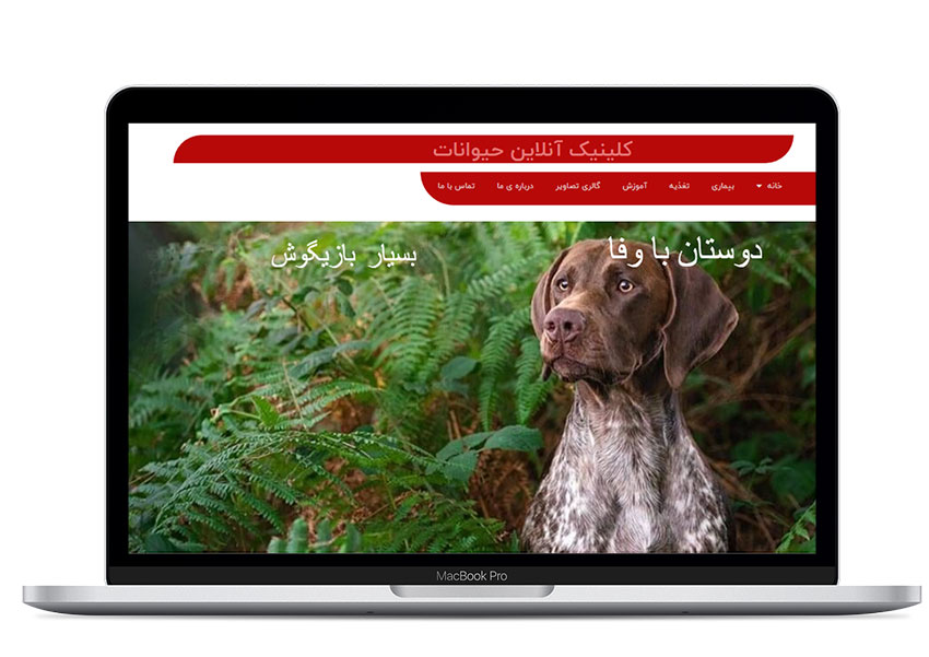 دنیای سگ ها