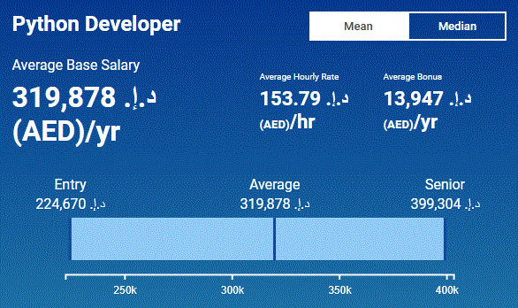 درآمد برنامه نویسی در دبی